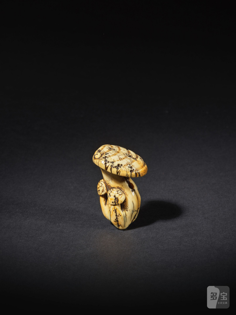 象牙彫根付 茸 銘「谷（方印）」 19世紀後期 | NETSUKE EN IVOIRE REPRÉSENTANT DES CHAMPIGNONS REISHI - 图4